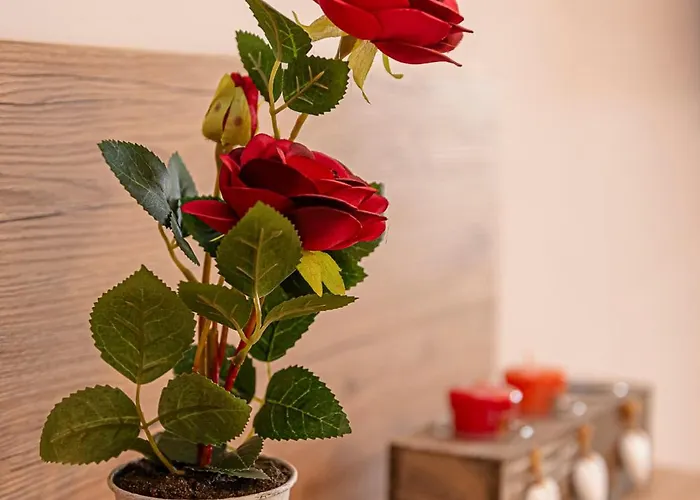 San Giovanni Al Colosseo Apartment